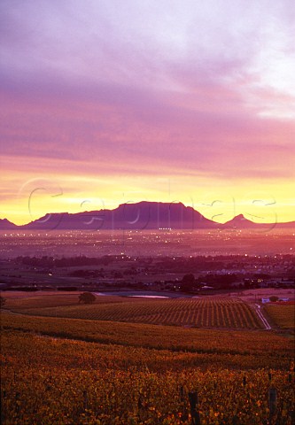 View of sunset over Table Mountain from   Saxenburg Vineyards Stellenbosch South   Africa