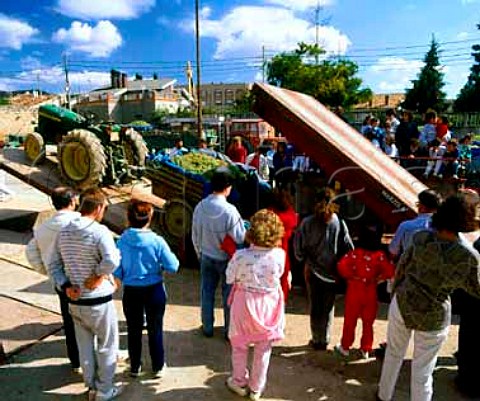 Locals watch as grapes are unloaded at the Labastida   cooperative Alava Spain   Rioja Alavesa