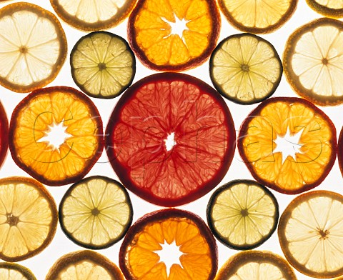 Citrus fruit slices clementine satsuma  red grapefruit lemon lime