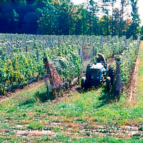 Ploughing the soil at the base of the vines   Thirty Bench Winery Beamsville  Ontario Province Canada Niagara Peninsula