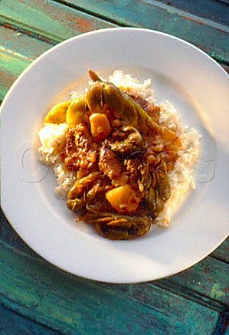 South Africa  Beef and waterblommetjie stew with rice