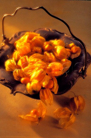 Basket of Cape Gooseberries   Physalis
