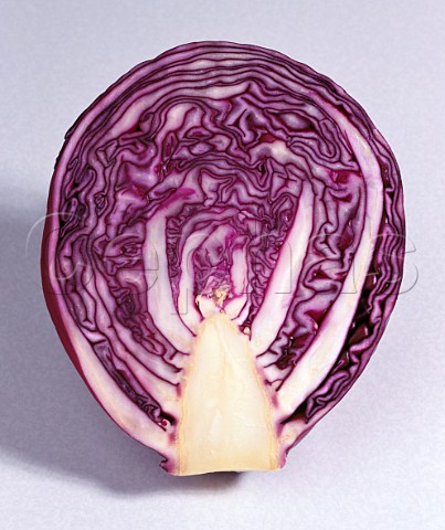 Red Cabbage  half