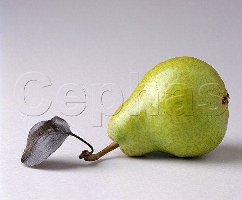 Williams pear