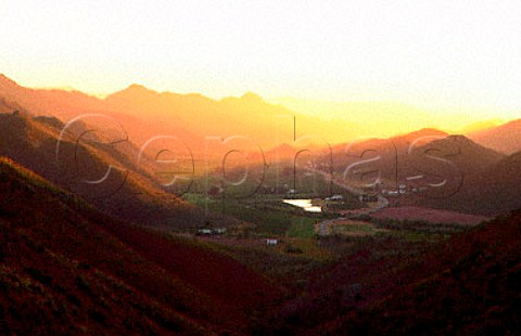 Vineyards in the Koo Valley near   Montague Little Karoo South Africa   Klein Karoo