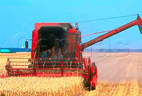Combine Harvester near Beauce  SeineetMarne France   IledeFrance