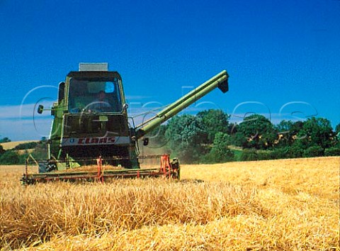 Combine Harvester in a barley field   Martlock Somerset