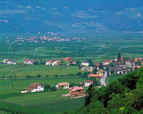 Magre surrounded by apple orchards Alto Adige   Italy
