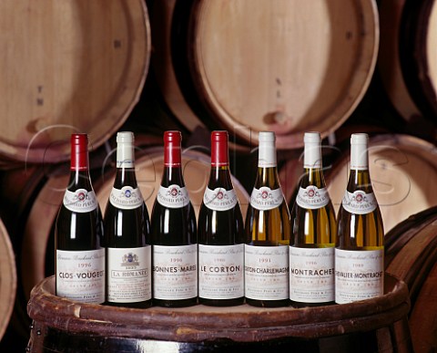 Seven Grand Cru Burgundies in the cellar of Bouchard Pre et Fils Beaune Cte dOr France