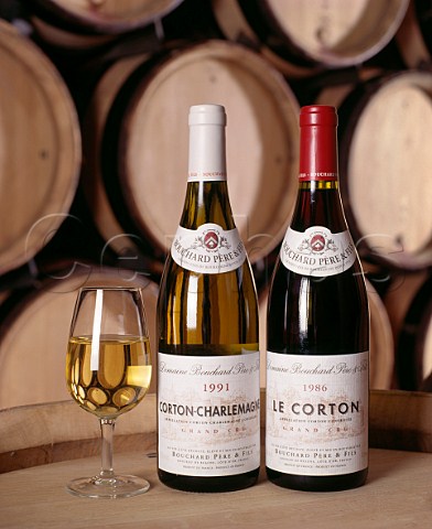 Bottles of 1986 Corton and 1991 CortonCharlemagne in the barrel cellar of Bouchard Pre et Fils Beaune Cte dOr France  Cte de Beaune Grand Cru