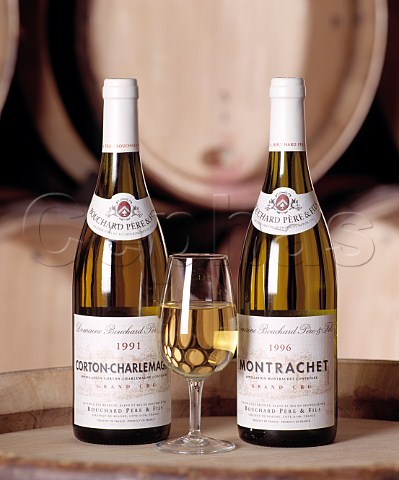 Montrachet 1996 and CortonCharlemagne 1991 Grand Cru Burgundy in the barrel cellar of  Bouchard Pre et Fils   Beaune Cte dOr France