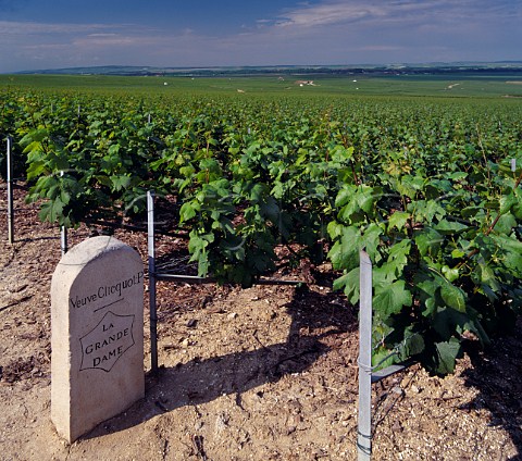 Chardonnay vineyard unusual for this area below the Manoir de Verzy on the Montagne de Reims Grapes are used for La Grande Dame the prestige cuve of Veuve   Clicquot Ponsardin  Verzy Marne France  Champagne