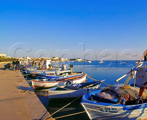 Fishing boats in the harbour at   Porto Caesreo Puglia Italy  Nardo DOC