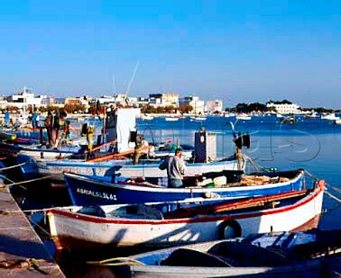 Fishing boats in the harbour at   Porto Caesreo Puglia Italy  Nardo DOC