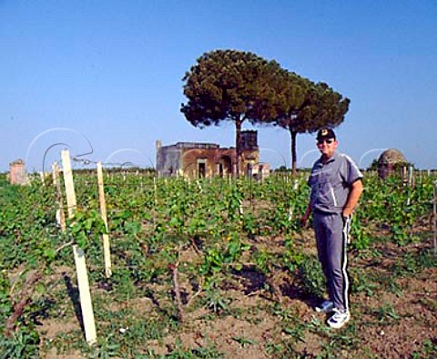 Francesco Taurino in Chardonnay vineyard of Cosimo Taurino Guagnano Puglia Italy