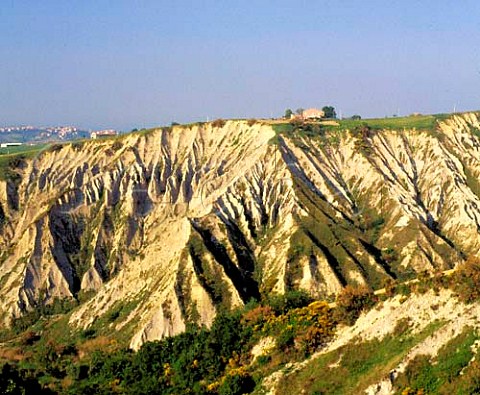 Landscape near Atri Abruzzi Italy   Montepulciano  Trebbiano dAbruzzo DOCs