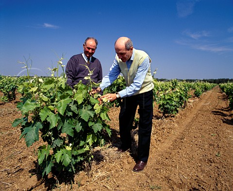 Nico Cntele right with his grape buyer   Francesco Elia in a Negroamaro vineyard  near Squinzano Puglia Italy