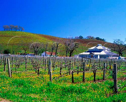 Kunde Winery Kenwood Sonoma Co California   Sonoma Valley