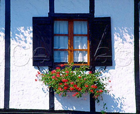 Window box and shutters in the Basque town of Vera   de Bidasoa Navarra Spain