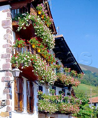 Flowerfilled window boxes in the Basque town of   Vera de Bidasoa Navarra Spain