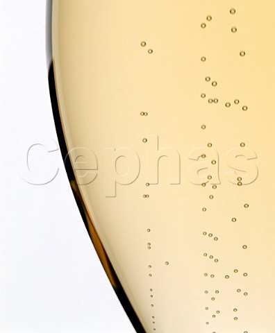 Champagne