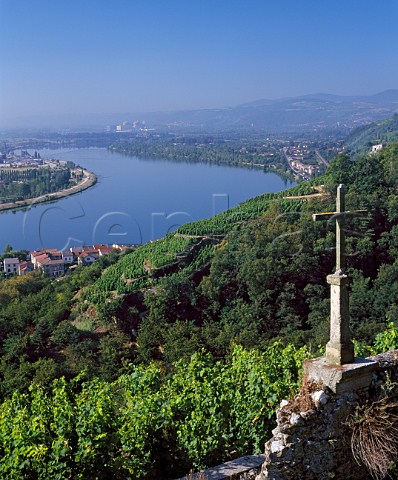 Cross on vineyard wall above the Rhne with   La Maladire vineyard beyond  Condrieu Rhne France  AC Condrieu