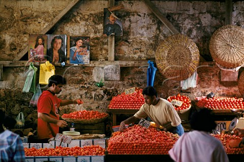 Tomatoes for sale in Port Louis Market Mauritius