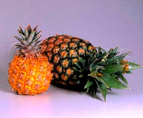 Queen and medium pineapple