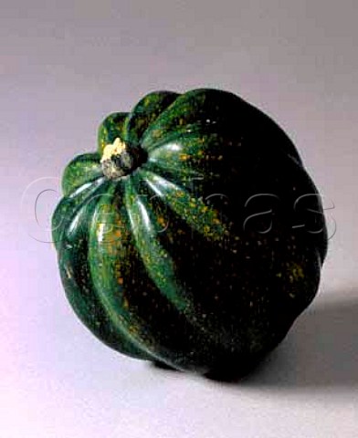 Acorn squash