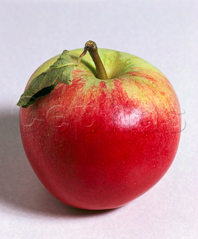 Katy apple
