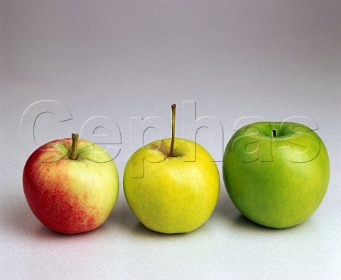 Apples  left to right    Katy Golden Delicious Granny Smith
