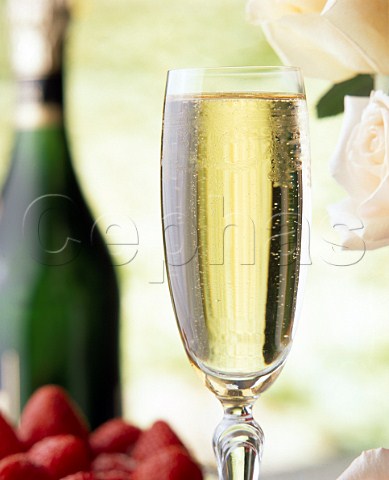 Flute of champagne with a bowl of strawberries