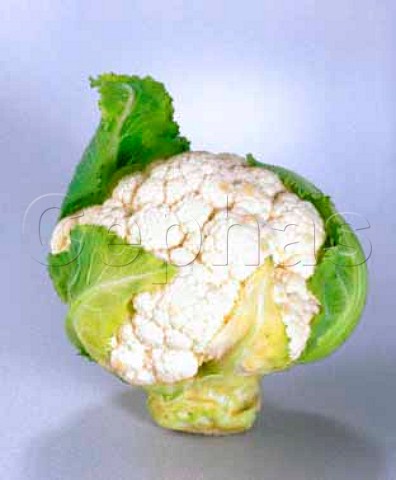 Cauliflower