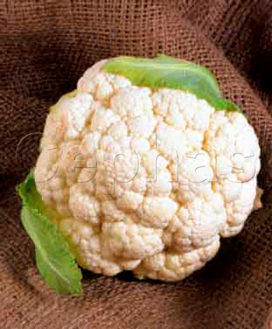 Cauliflower