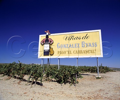 Gonzalez Byass sign on their Via la Canariera   Jerez Andalucia Spain   Sherry