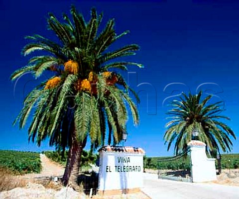 Palm trees straddle the entrance to   Via El Telegrafo Jerez Andalucia Spain Sherry