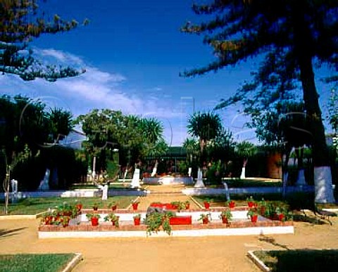 Garden in the courtyard of Bodega de Otaola   one of many owned by Antonio Barbadillo in   Sanlcar de Barrameda Andalucia Spain Manzanilla    Sherry