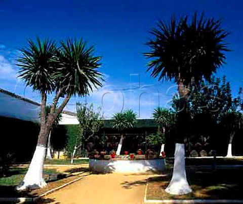 Garden in the courtyard of Bodega de Otaola one of many owned by Antonio Barbadillo in Sanlcar de Barrameda Andalucia Spain Manzanilla    Sherry