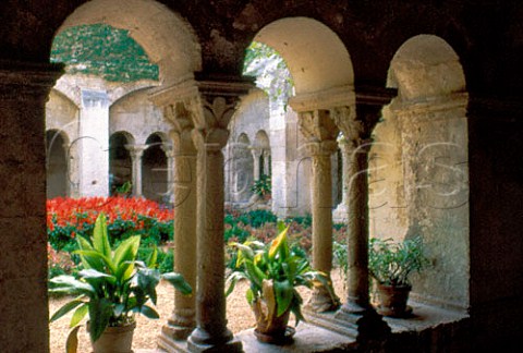 The Cloisters of StPauldeMausole   Monastery StRemydeProvence   BouchesduRhne France  Provence
