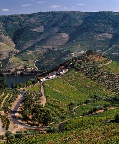 Quinta do Crasto above the Douro River between Rgua and Pinho Portugal    Port  Douro