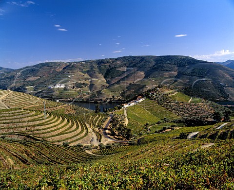 View down on to Quinta do Crasto from its vineyards   with Quinta Sao Luis across the Douro river     Between Regua and Pinho Portugal  Port  Douro