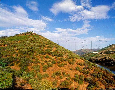 Quinta do Crasto on its promontory above the Douro River with Quinta Sao Luis on the far bank  Between Regua and Pinhao Portugal Port  Douro