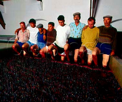 Treading grapes in lagar at Quinta do Crasto  In the Douro Valley between Regua and Pinho   Portugal   Port  Douro