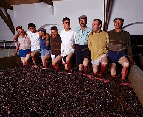 Treading grapes in lagar at Quinta do Crasto  In the Douro Valley between Regua and Pinho   Portugal   Port  Douro