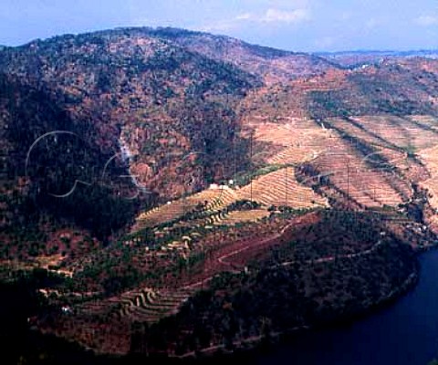 Cockburns Quinta dos Canais high in the Douro   Valley east of Pinho Portugal   Port