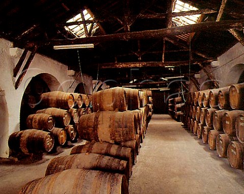 Pipes of port maturing in Taylors lodge at   Vila Nova de Gaia Portugal