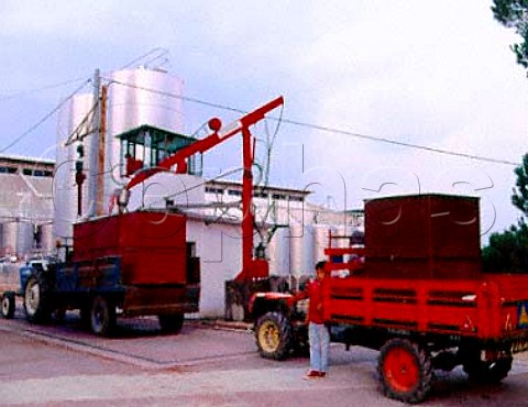 Grapes being checked for sugar content as they   arrive at the Adega Cooperativa de Silgueiros near   Viseu Portugal   Dao