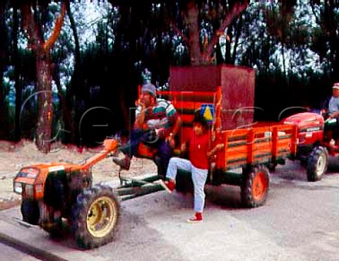 Grapes arriving at the Adega Cooperativa de   Silgueiros near Viseu Portugal   Dao