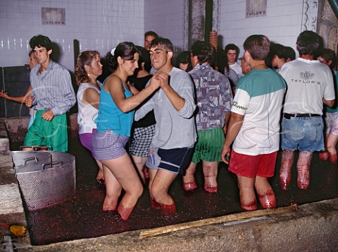 Treading grapes and dancing in lagar at Taylors Quinta da Vargellas high in the Douro valley east   of Pinhao Portugal  Port