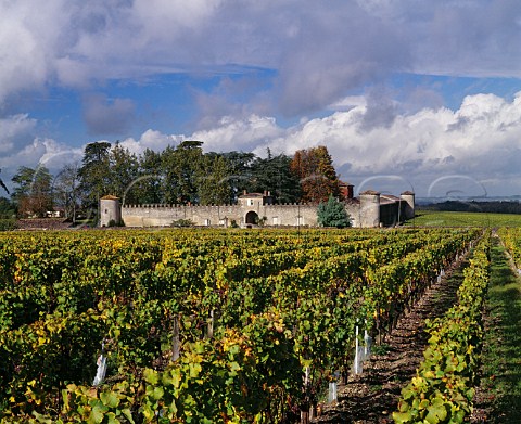 Chteau LafauriePeyraguey and its vineyard Bommes Gironde France Sauternes  Bordeaux      